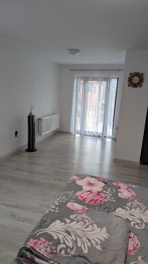 Villa Casa Beatrice à Călimăneşti Extérieur photo