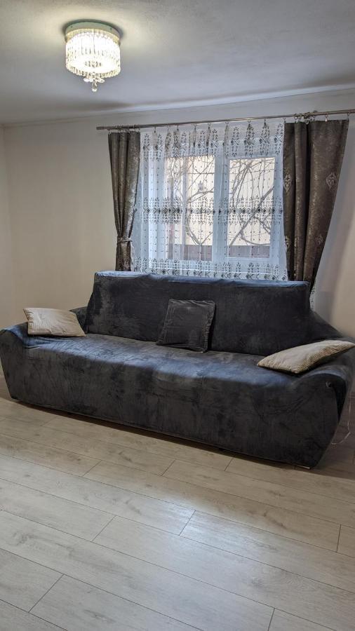 Villa Casa Beatrice à Călimăneşti Extérieur photo